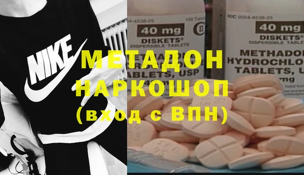 шишки Аркадак