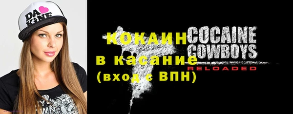 шишки Аркадак