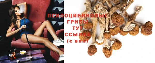 шишки Аркадак