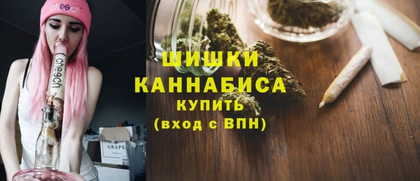 шишки Аркадак